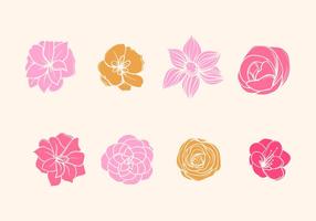 Camelia Flower Vector
